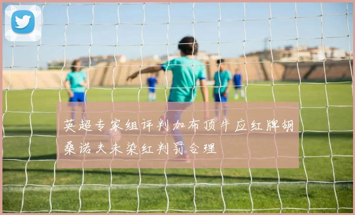 英超专家组评判加布顶牛应红牌胡桑诺夫未染红判罚合理